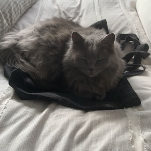 Meet your Posher, Florence